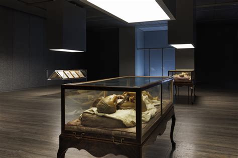 fondazione prada mostra cere|Cere Anatomiche, la mostra alla Fondazione Prada in .